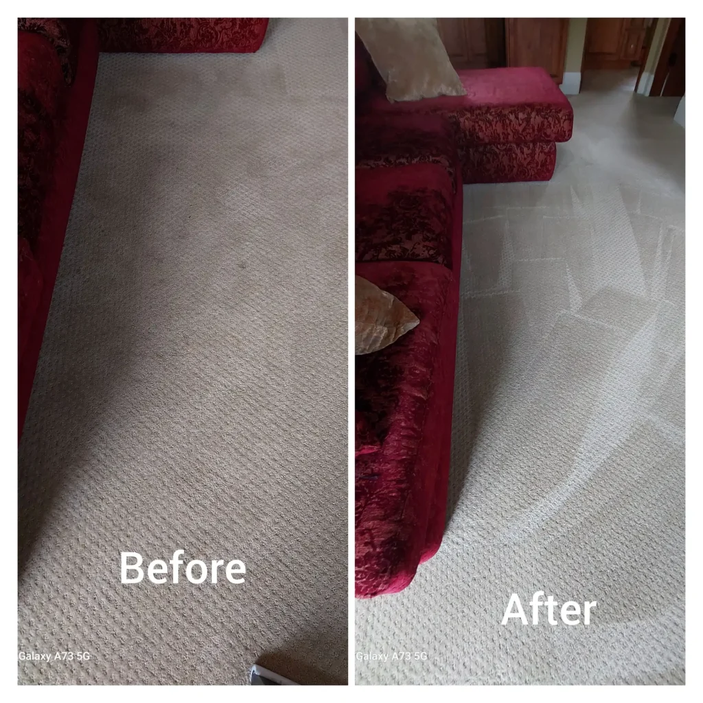 carpet cleaning services